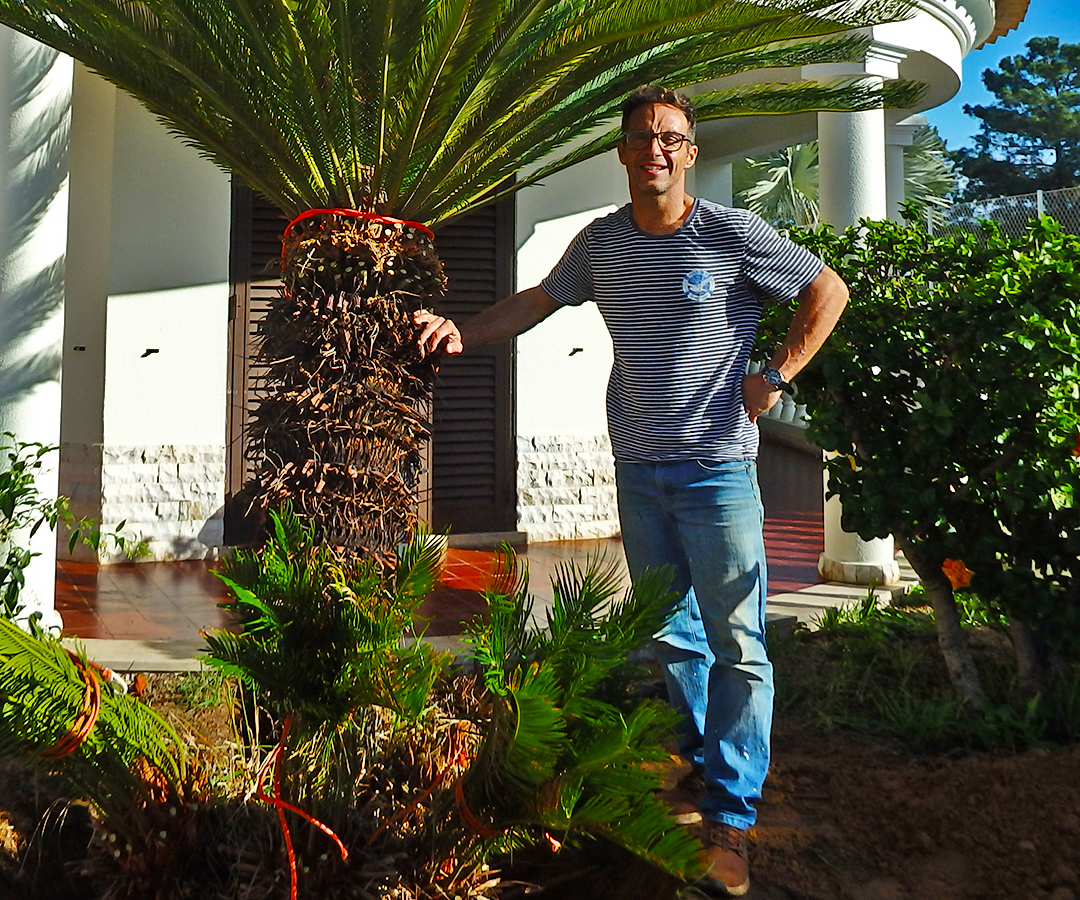João Sabino - CEO