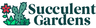 Succulent Gardens